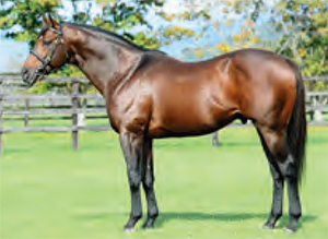 �ޥ������ƥ��å������ꥢ��