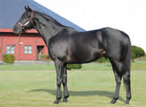 �ꥪ��ǥ�����