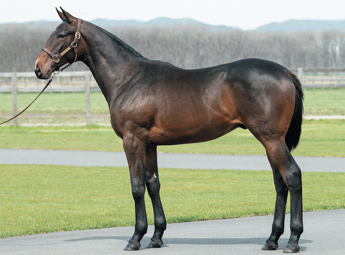 �ϥ�ޥå����2021