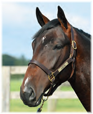 �ϥ�ޥå����2021