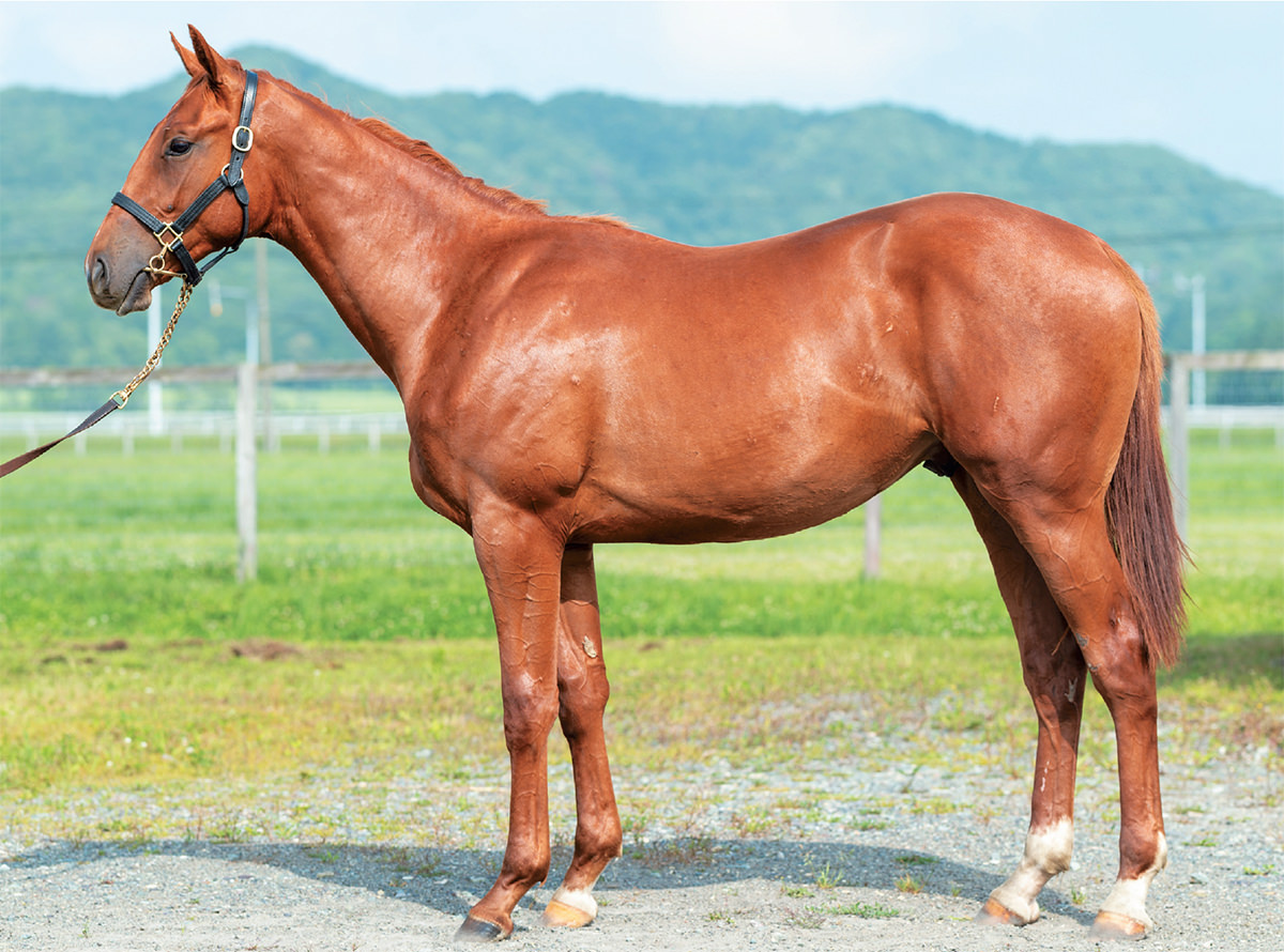 �֥롼����������2021