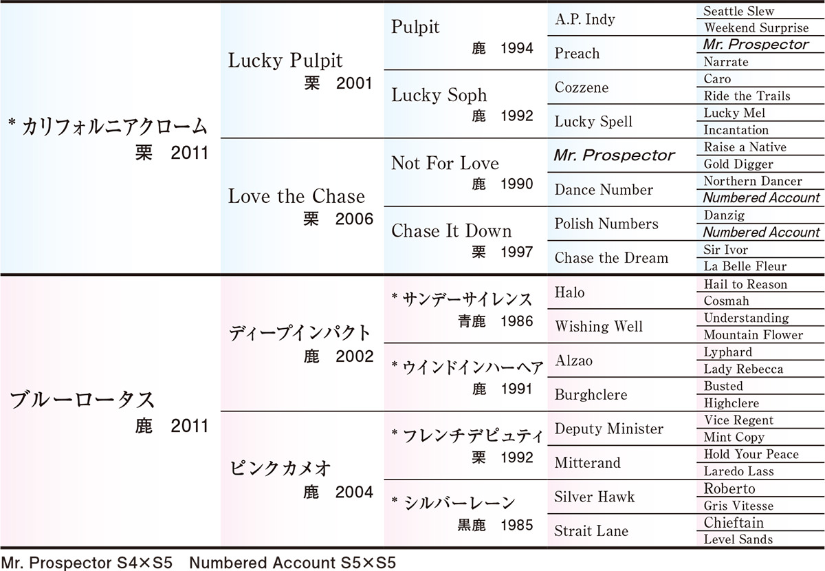 Pedigree - �������ɽ