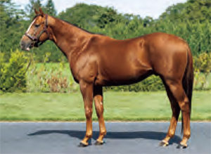 ���������㡼��