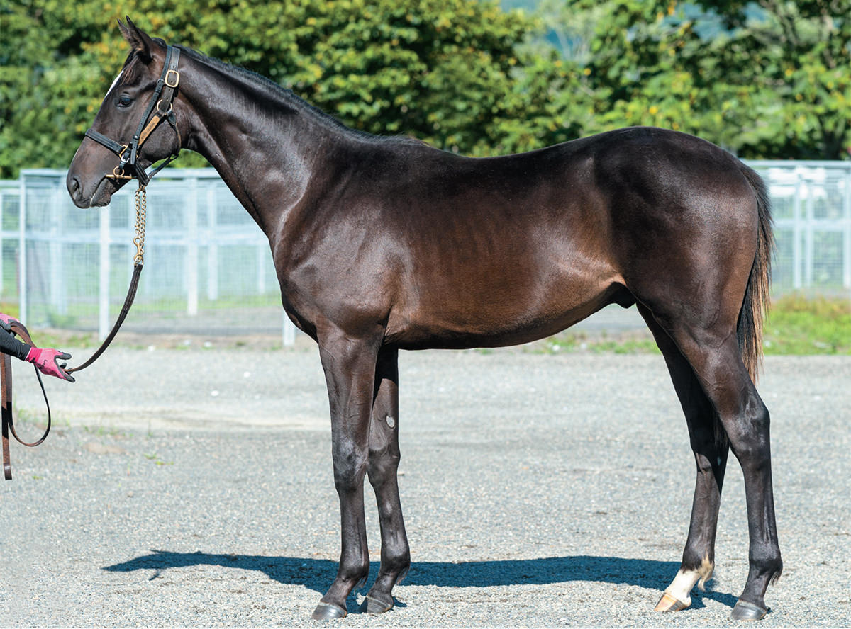 �������󥭥�����2021