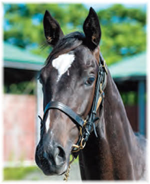 �������󥭥�����2021