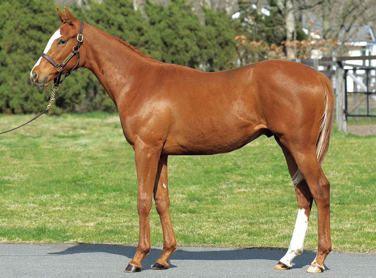 ���륭����2022