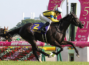 �����륹�������