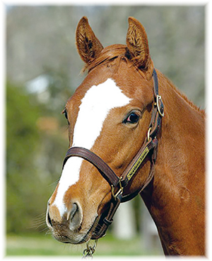 ���륭����2022