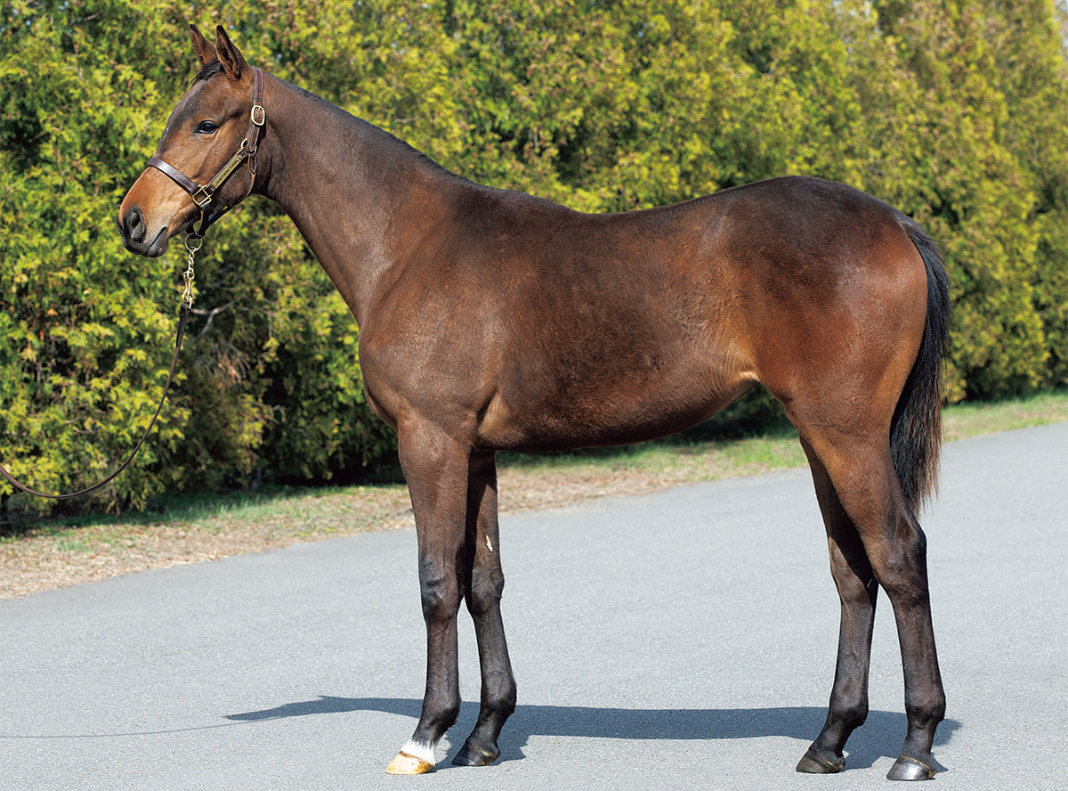 ���󥫥���2022