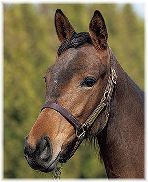 ���󥫥���2022