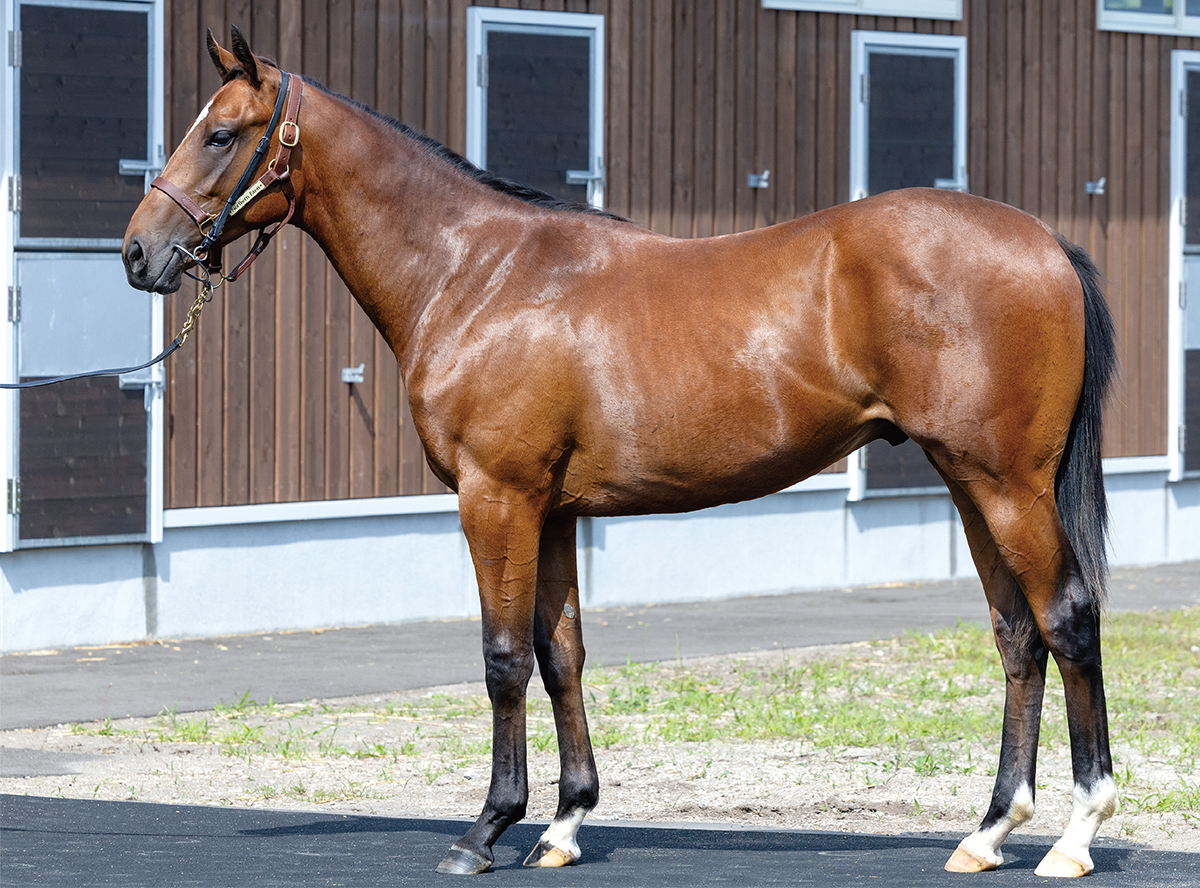 �����ǥ����̤�2022