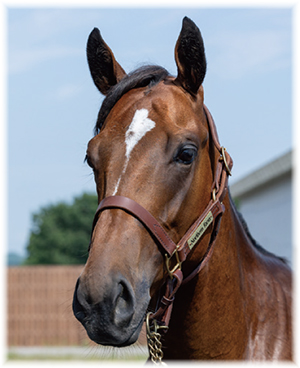 グランデセーヌの2022