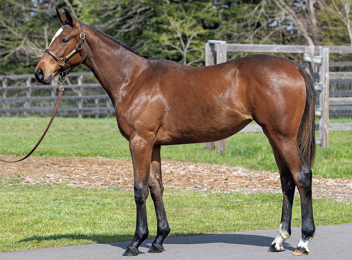 �����ʥߤ�2022