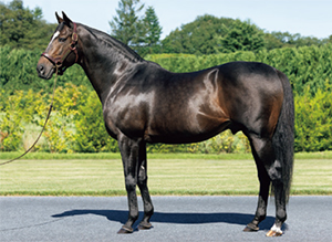 ���ԥե��ͥ���