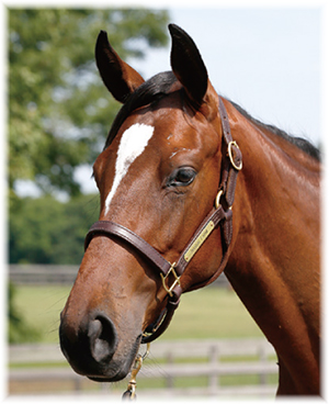 �����ʥߤ�2022