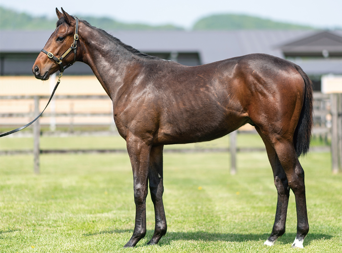 �ѥɥå������ȥ��2022