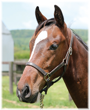 ���른�����ͤ�2022