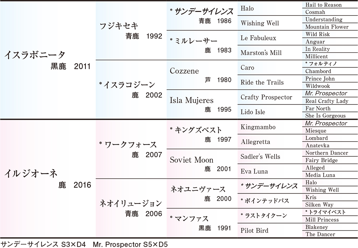 Pedigree - �������ɽ