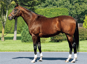 ���ԥե��ͥ���