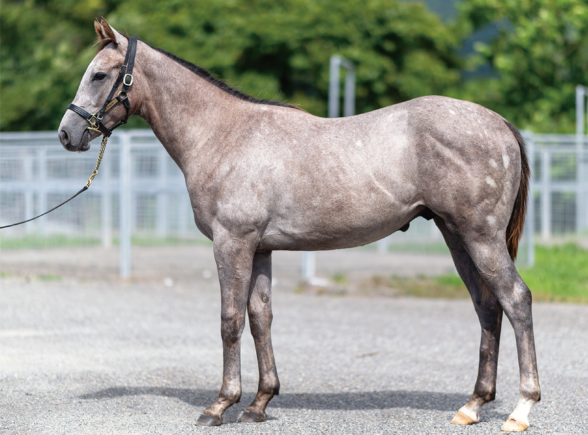 �ƥ����������饤��2022