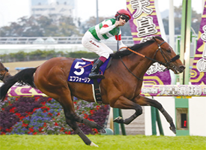 ���եե����ꥢ