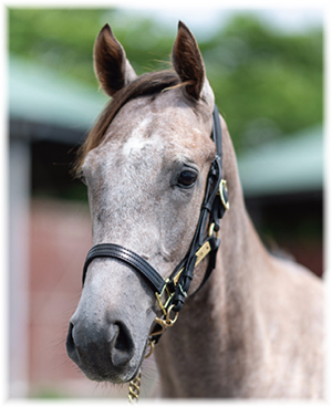 �ƥ����������饤��2022