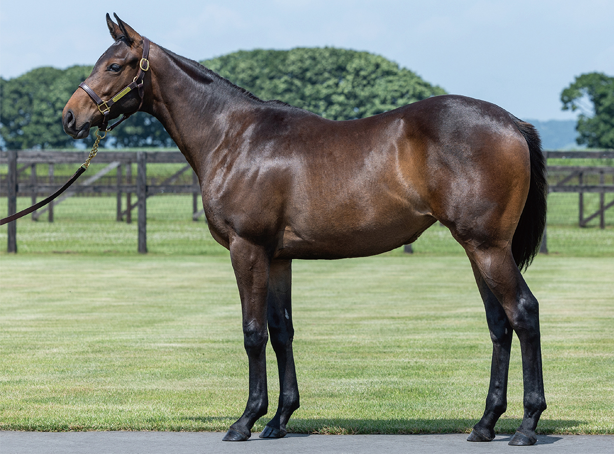 �ҥ����2022