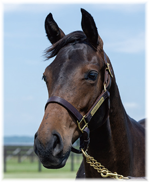 �ҥ����2022