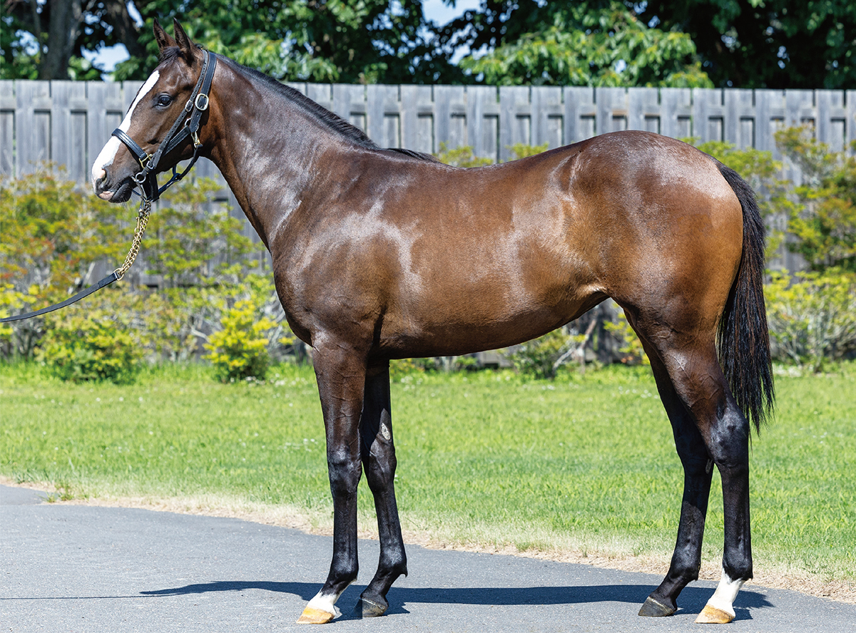 �ݥ��åȥ��㡼�꡼��2022