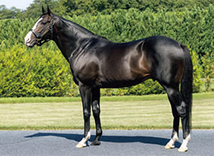 ������ܥˡ���