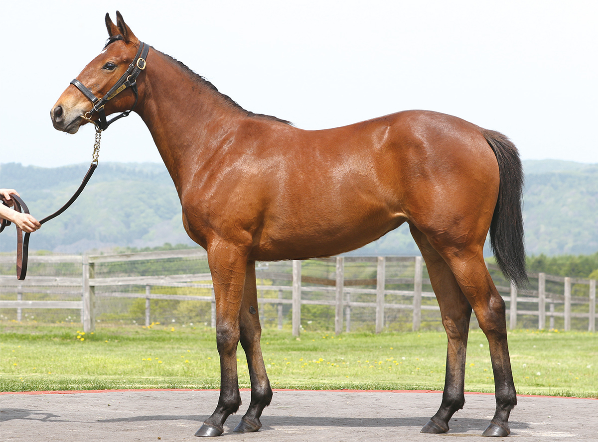 �ԥ����㡼�ݡ�����2022