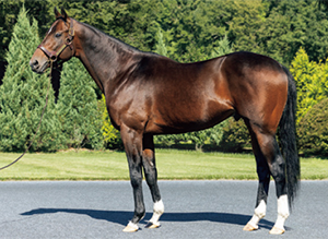 �ꥢ�륹�ƥ�����