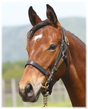 �ԥ����㡼�ݡ�����2022