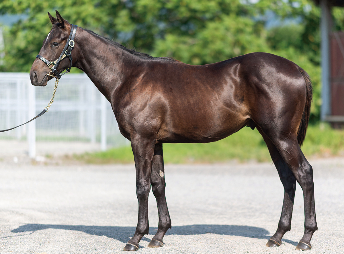 ���ޡ���ʤ�2022