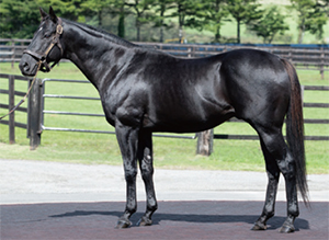 �ɥ꡼��Х�����