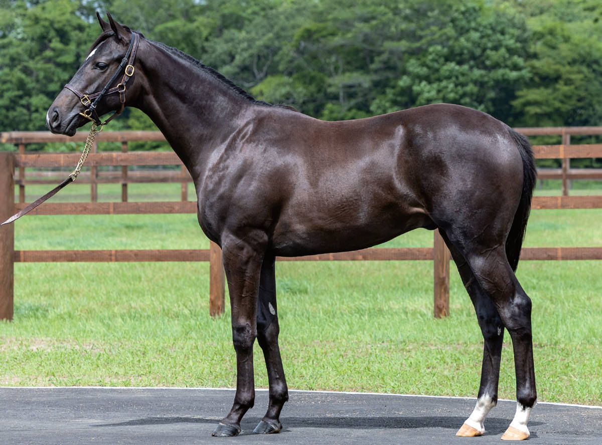 ������ߥ졼���2023