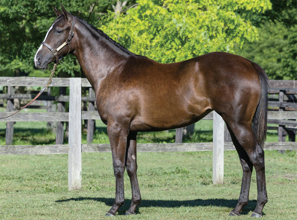 �ӡ����󥿡����2023