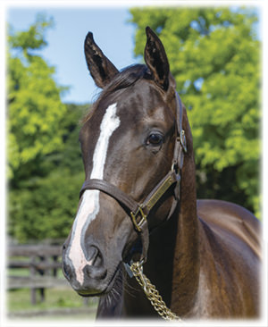 �ӡ����󥿡����2023