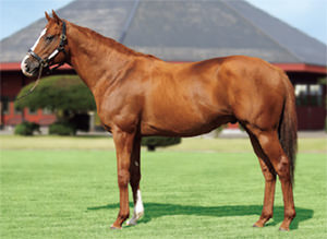 ��������륰���