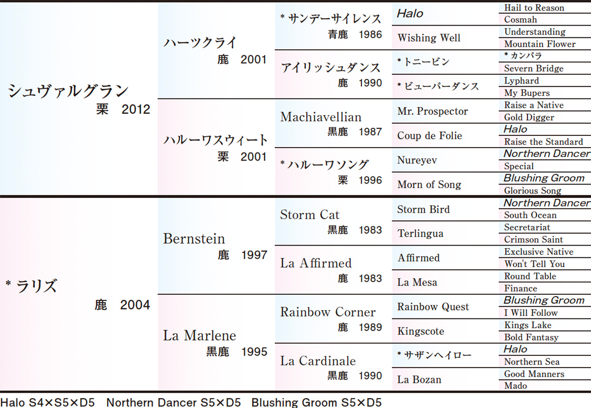 Pedigree - �������ɽ