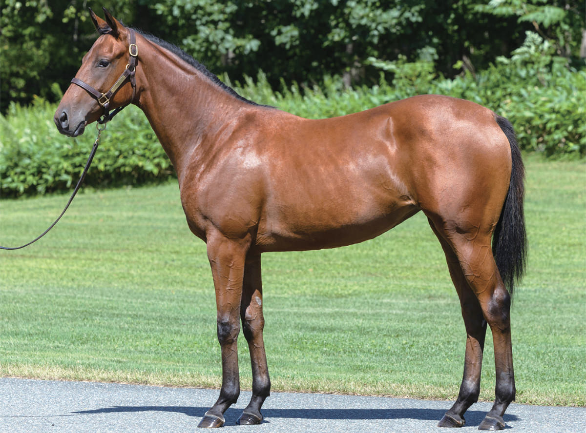 ��åɥ쥤�������2023