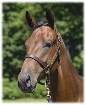 ��åɥ쥤�������2023