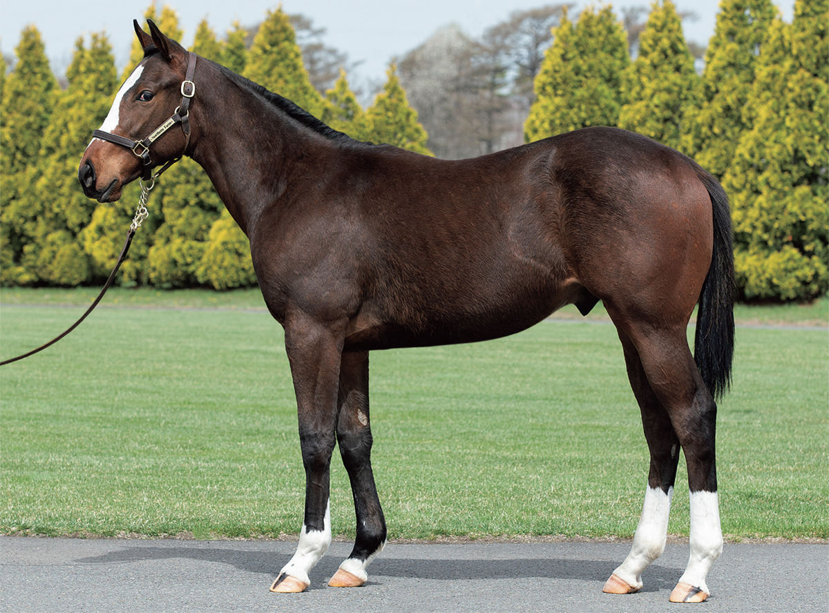 ��ȡ��ʤ�2023