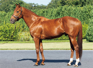 �ޥ���ɥ楢�ӥ����å�