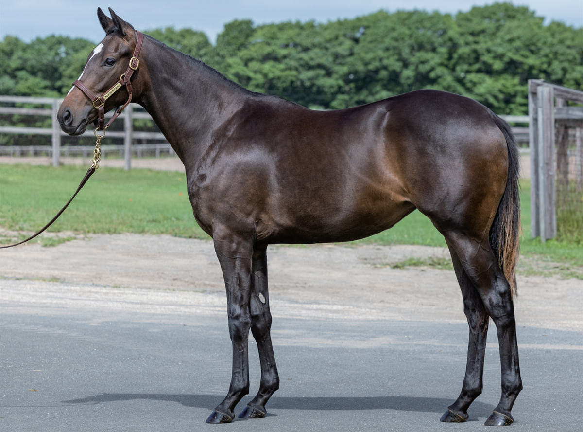 �ץ�ƥ����꡼�ʤ�2023