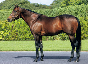 �����ɥ��ʥ���