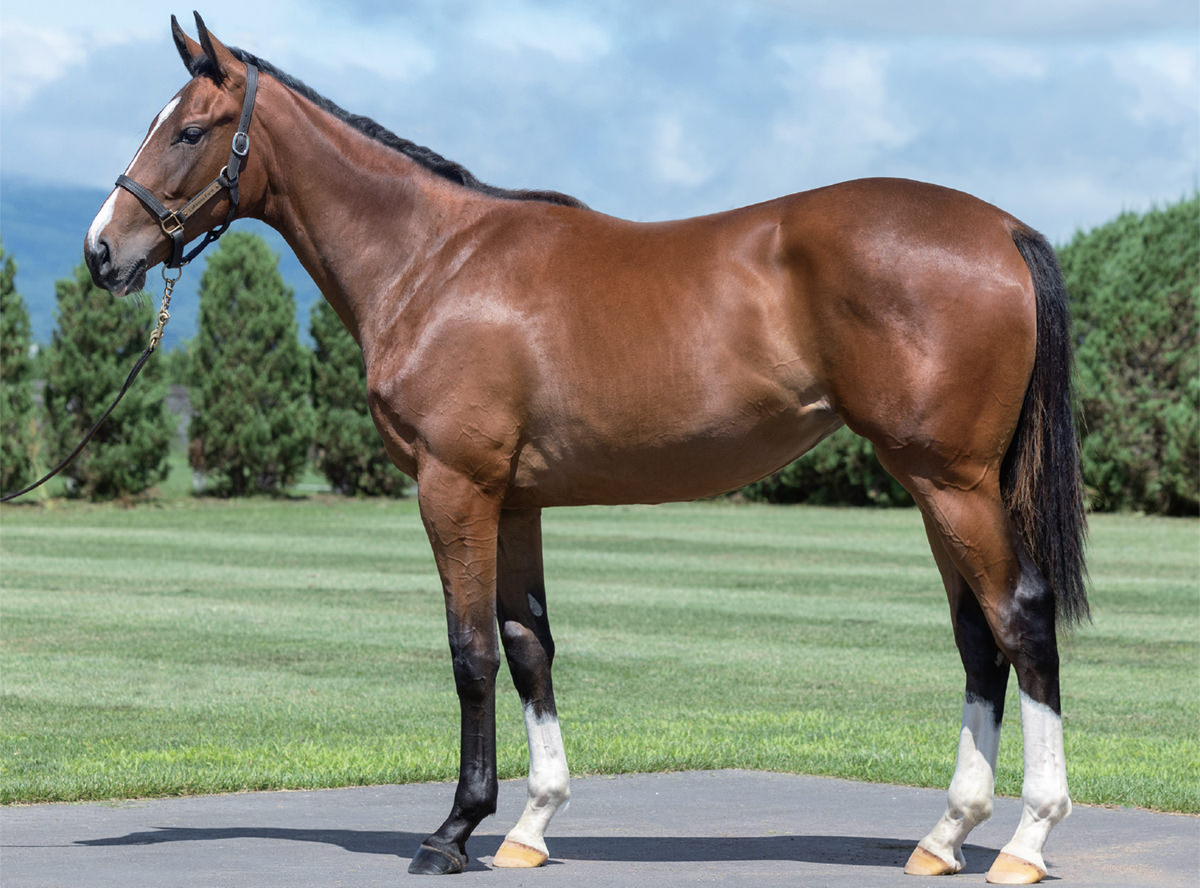 �٥륫�ץ��2023