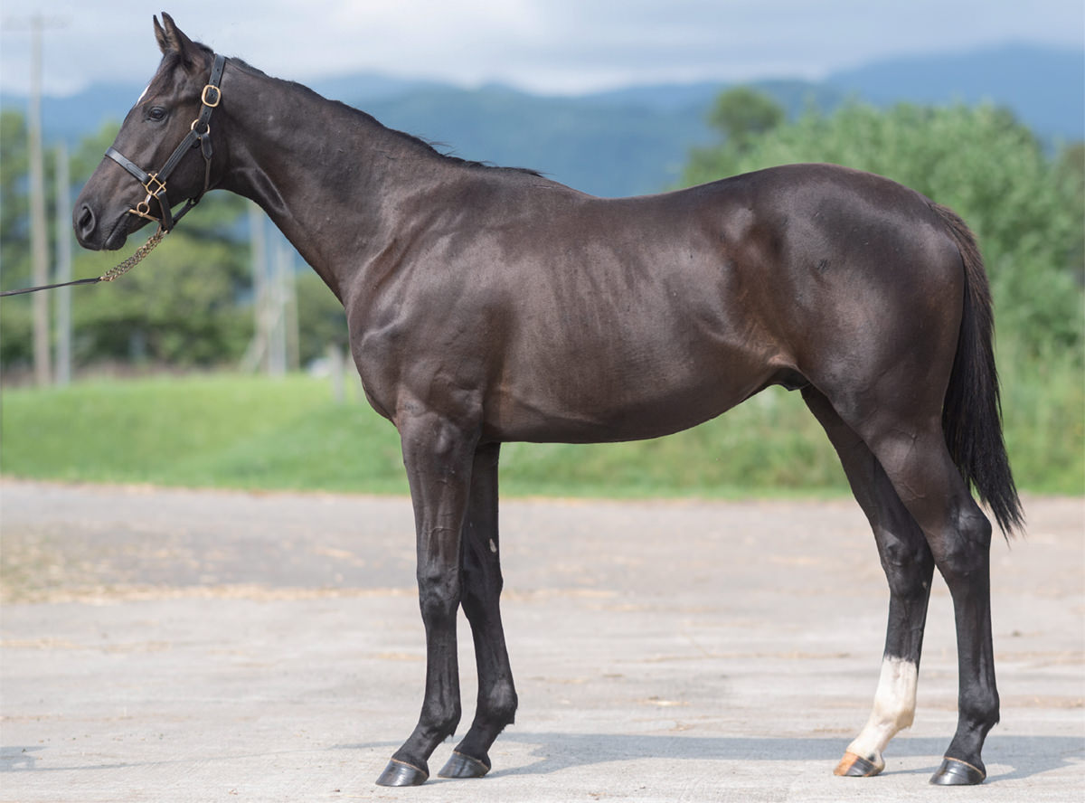 �ۥå������ԥ����2023