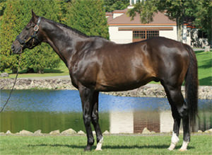 ���Υ�Х顼��