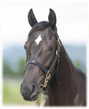 �ۥå������ԥ����2023